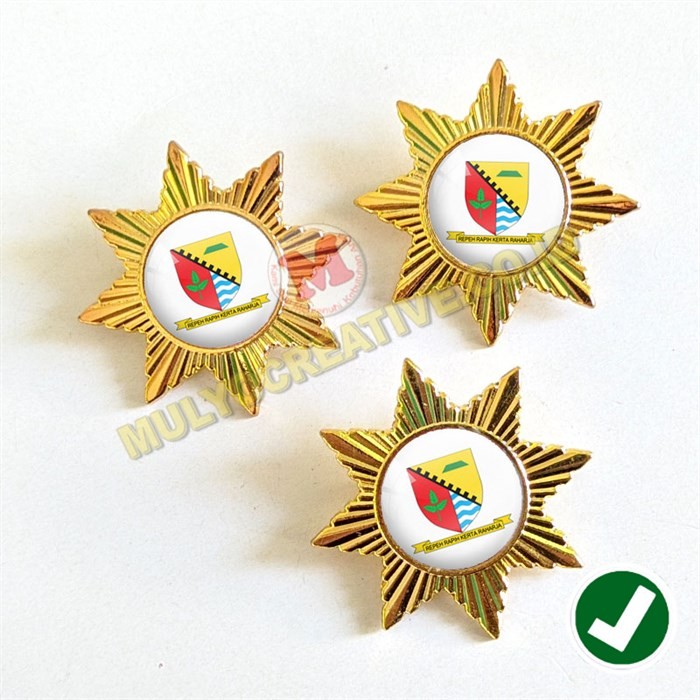 Pin Logo Kabupaten Bros Wing Logo Kabupaten Bandung pesan pin enamel